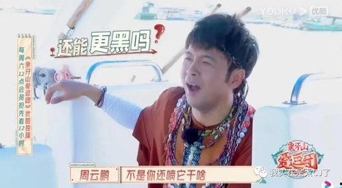 宝哥吃瓜趣事,娱乐圈幕后秘闻大揭秘  第1张