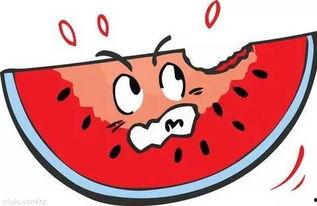 众祸看吃瓜  第3张